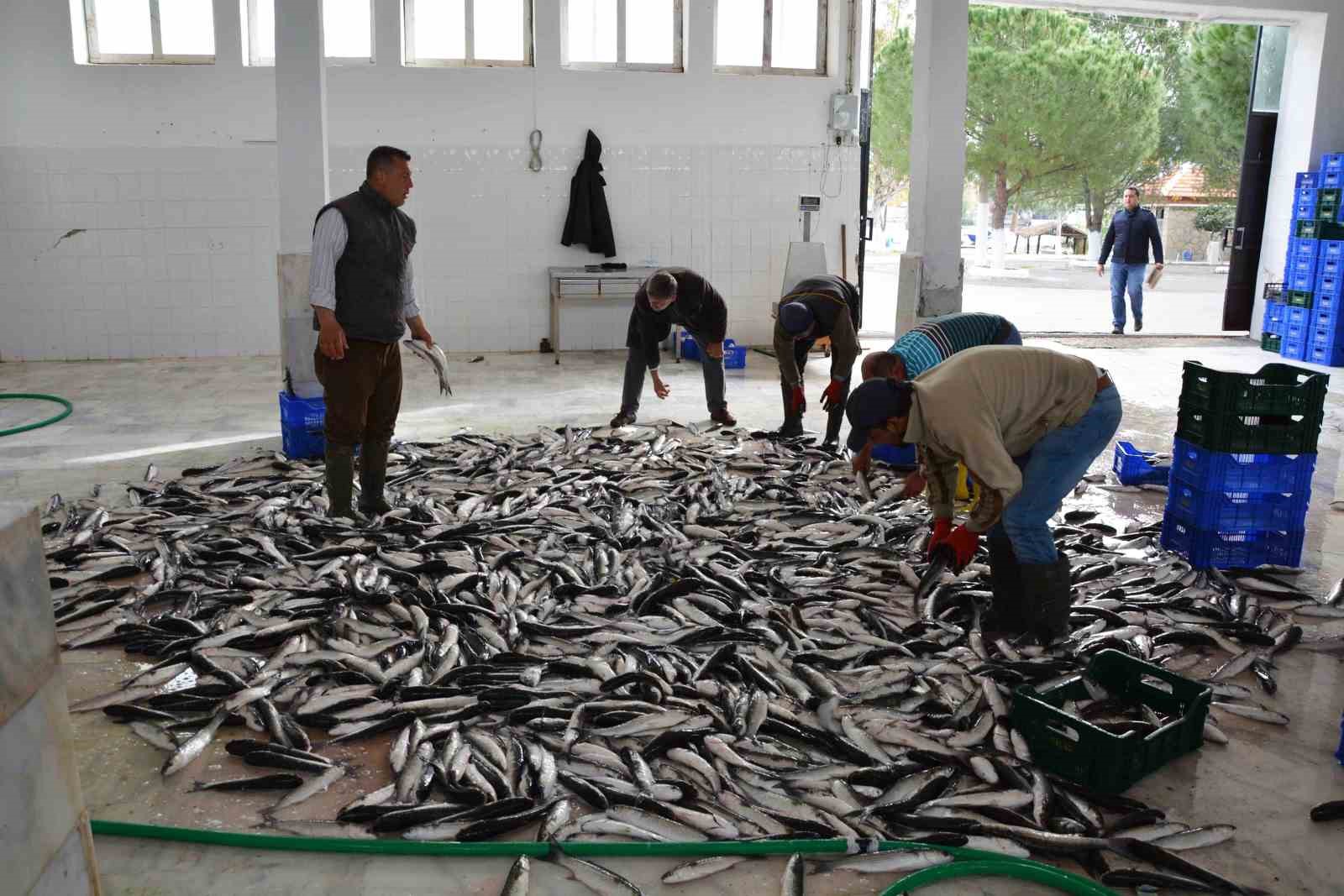 Muğla, Ege Bölgesi’nin ihracatına önemli katkı sağlayan iller arasında yer