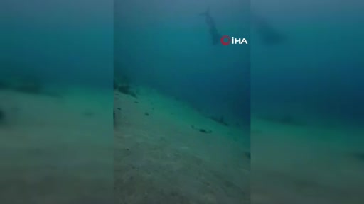 Muğla’nın Ula ilçesine bağlı Akyaka Mahallesi’nde iki dalgıç, Cumhuriyet’in 103’üncü