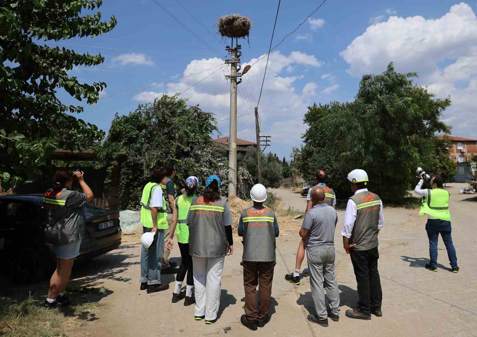 ADM Elektrik ve GDZ Elektrik, "Leyleklere Yeni Yuva" projesini genişletiyor.