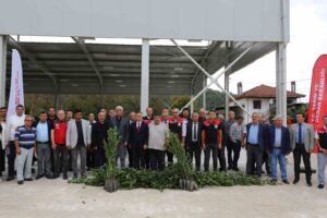 Muğla’nın Ula ilçesine bağlı Yeşilova Mahallesi’nde defne hasadı ve fidan