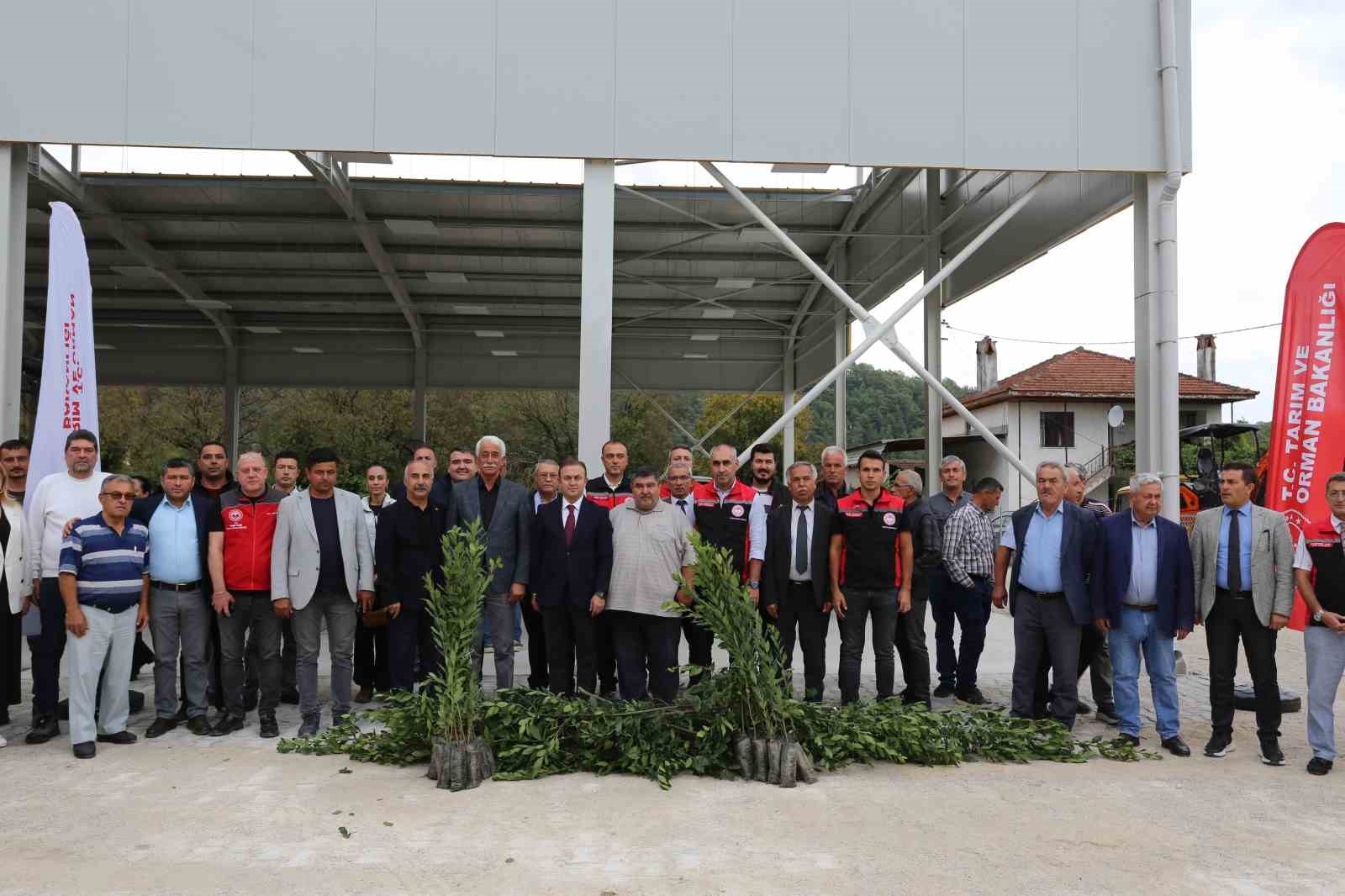 Muğla’nın Ula ilçesine bağlı Yeşilova Mahallesi’nde defne hasadı ve fidan